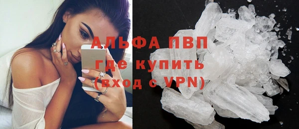 стафф Усинск