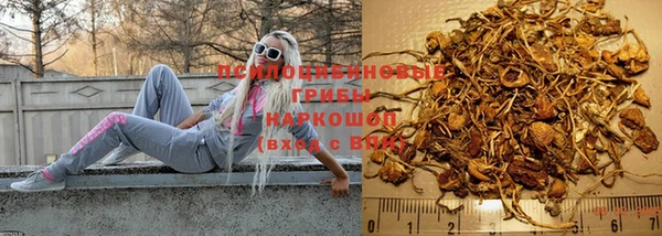 a pvp Туринск